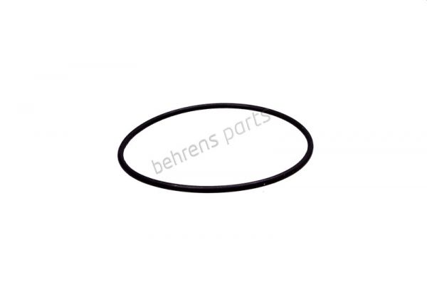 o-ring_fuer_lbehaelter_mbb_2009743_mbb-h00095_re.jpg