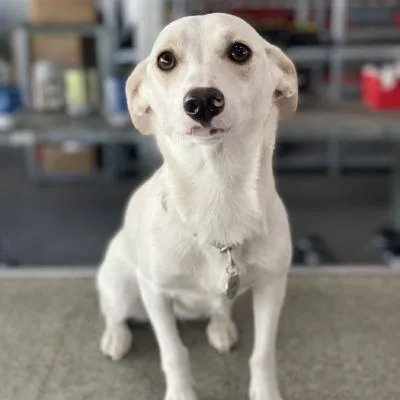 Ueber Uns Team Fenna